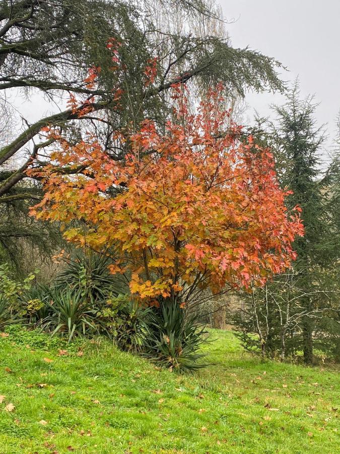 Domaine Le Manoir, Gites De Charme Et De Caractere Avec Piscines Privatisees Et Spa Nordique Fossemagne Eksteriør bilde