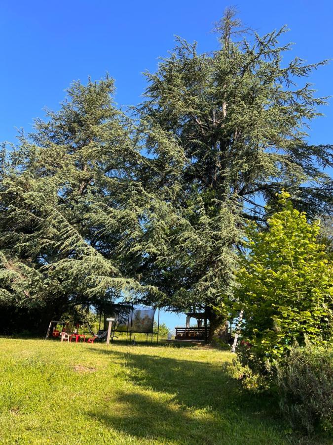 Domaine Le Manoir, Gites De Charme Et De Caractere Avec Piscines Privatisees Et Spa Nordique Fossemagne Eksteriør bilde